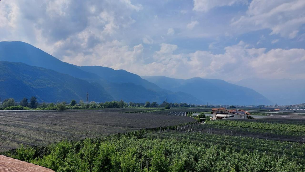 Mittelbergerhof Ferienwohnungen Vilpiano Buitenkant foto